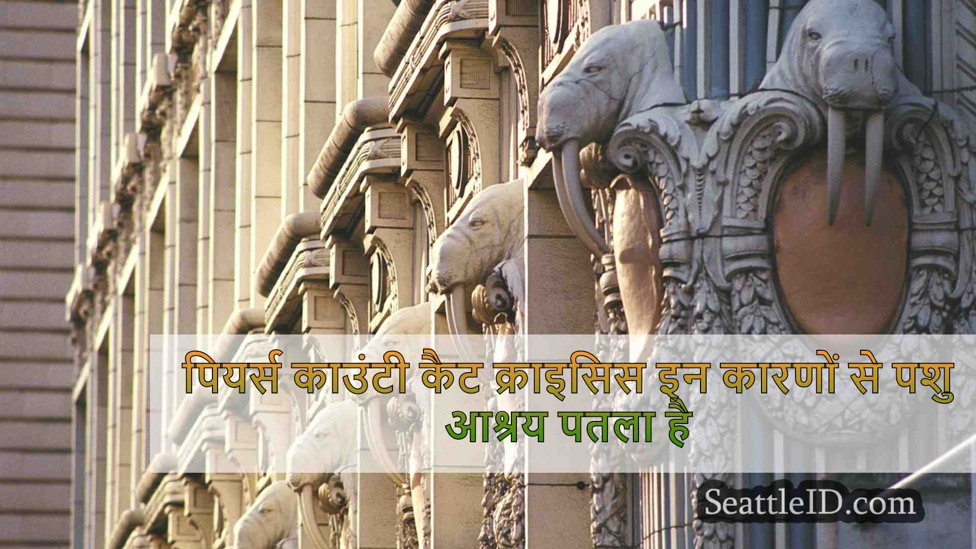 पियर्स काउंटी कैट क्राइसिस इन कारणों से