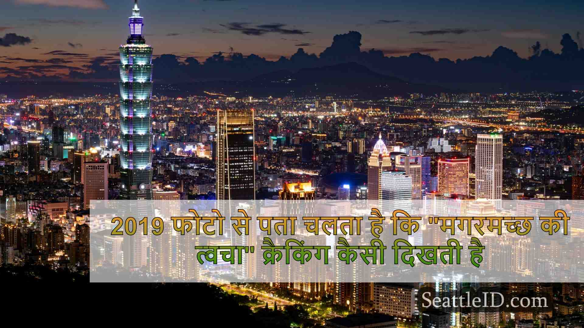 सिएटल समाचार SeattleID
