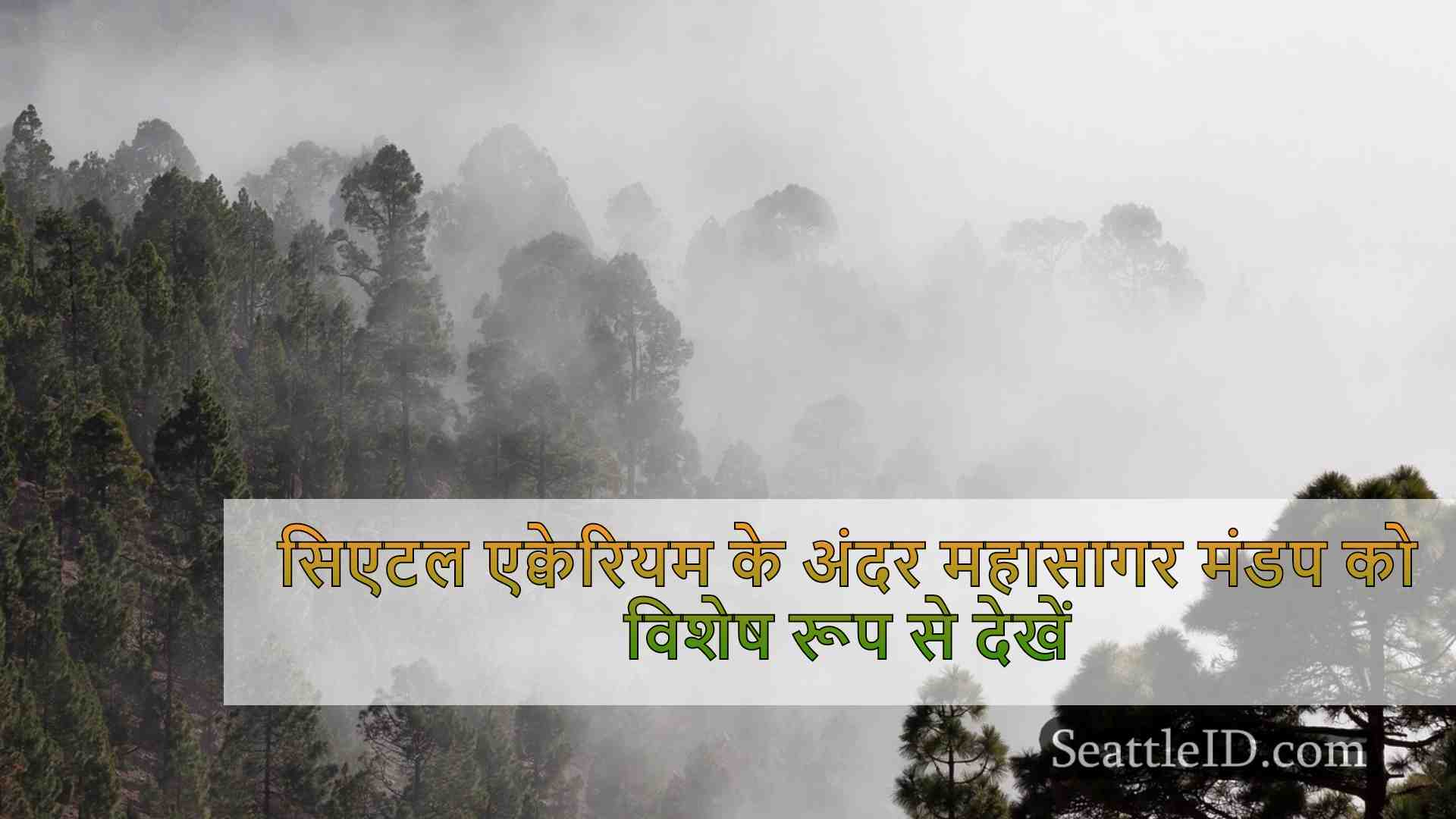 सिएटल समाचार SeattleID