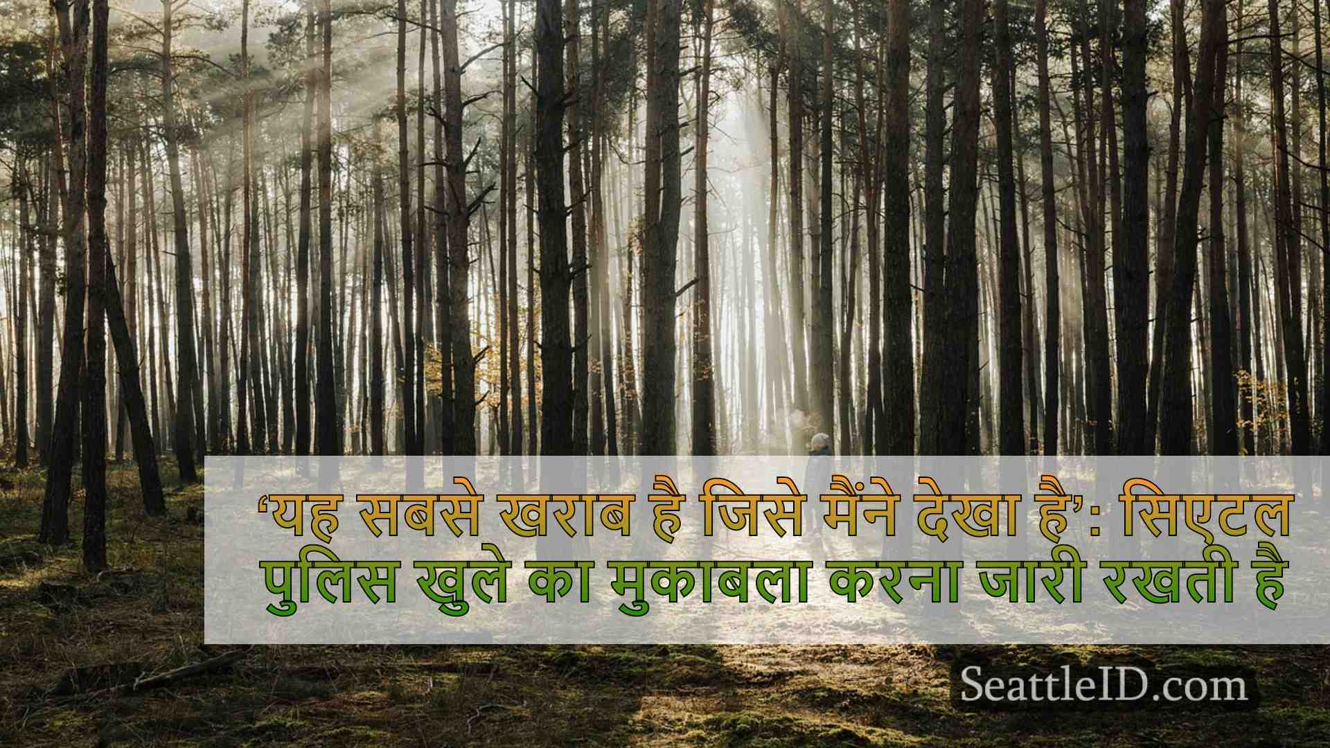 सिएटल समाचार SeattleID