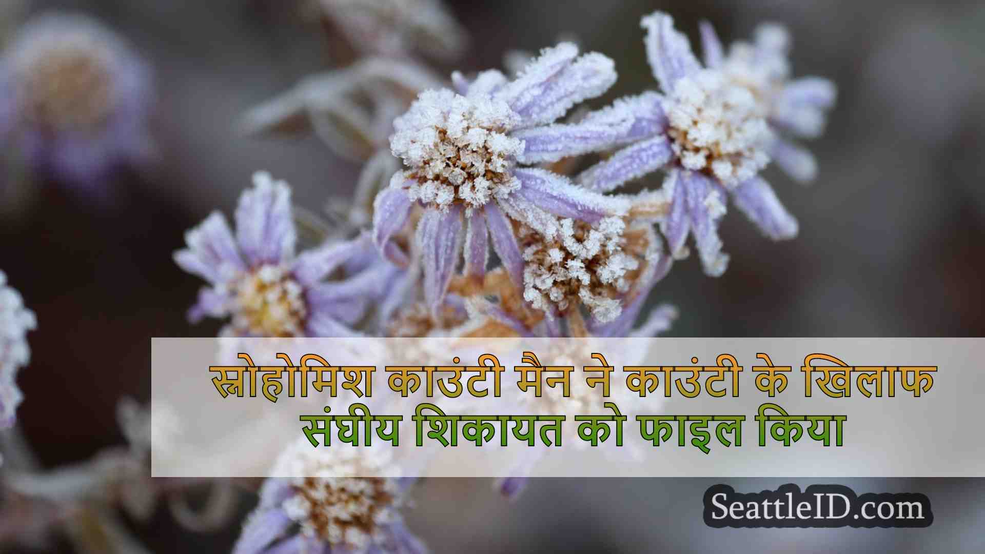 सिएटल समाचार SeattleID