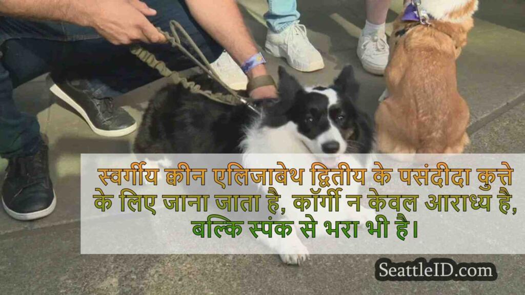 WA अल्जाइमर एसोसिएशन के लिए फंडराइज़र