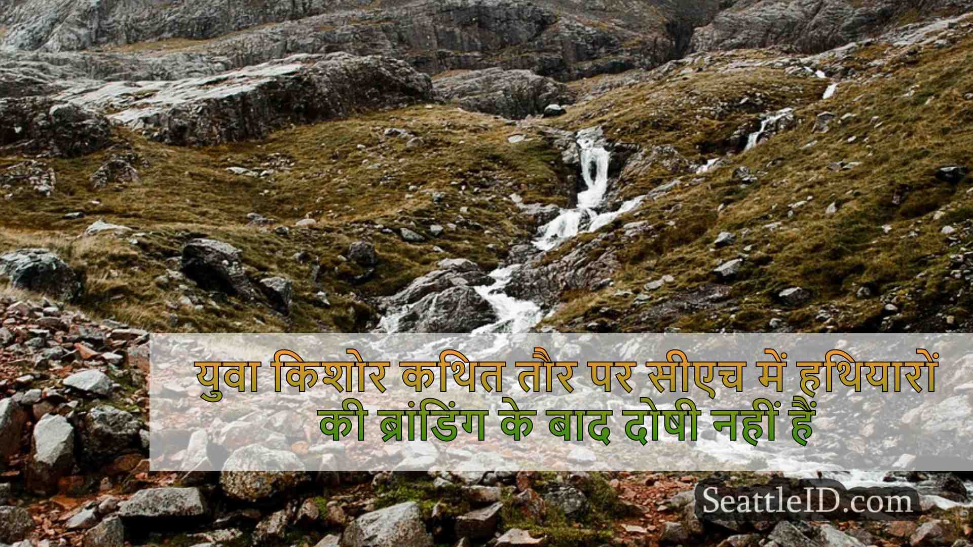 युवा किशोर कथित तौर पर चाइनाटाउन सीफेयर