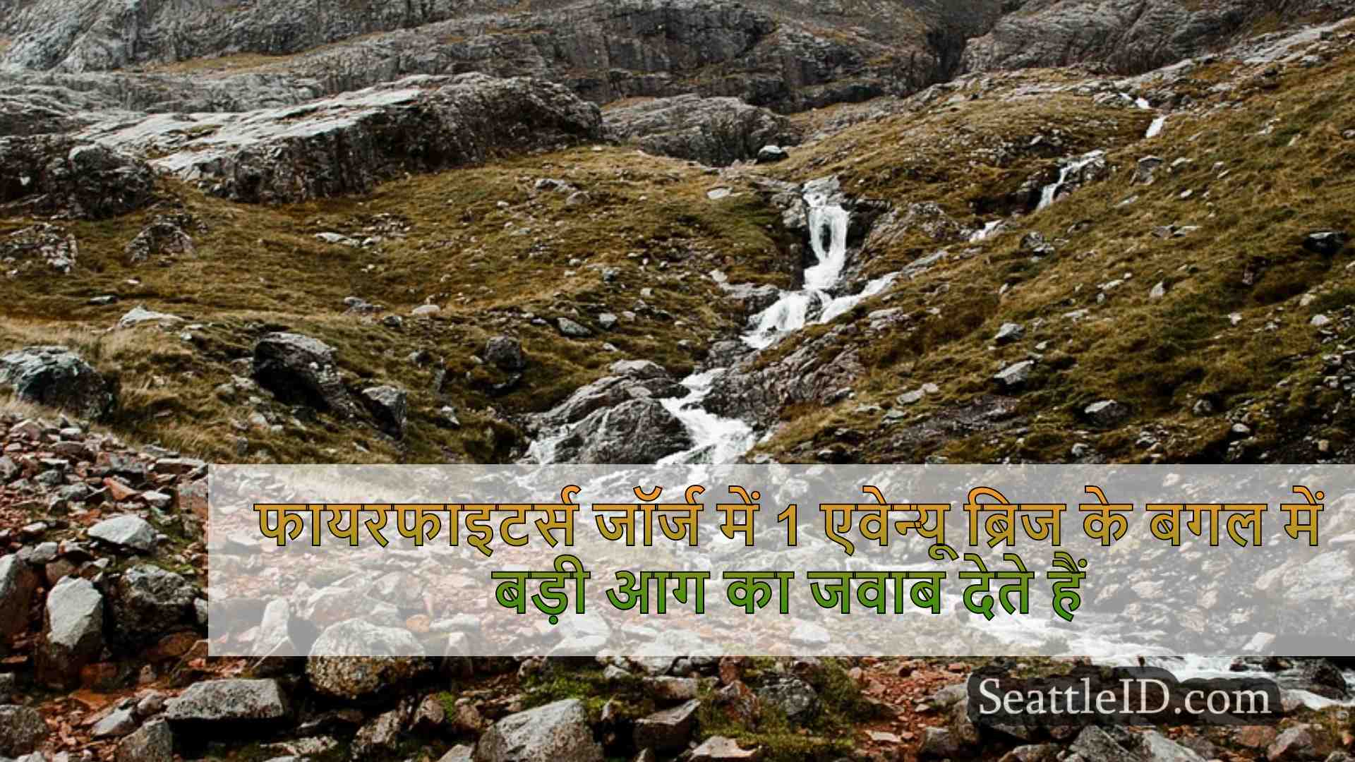सिएटल समाचार SeattleID