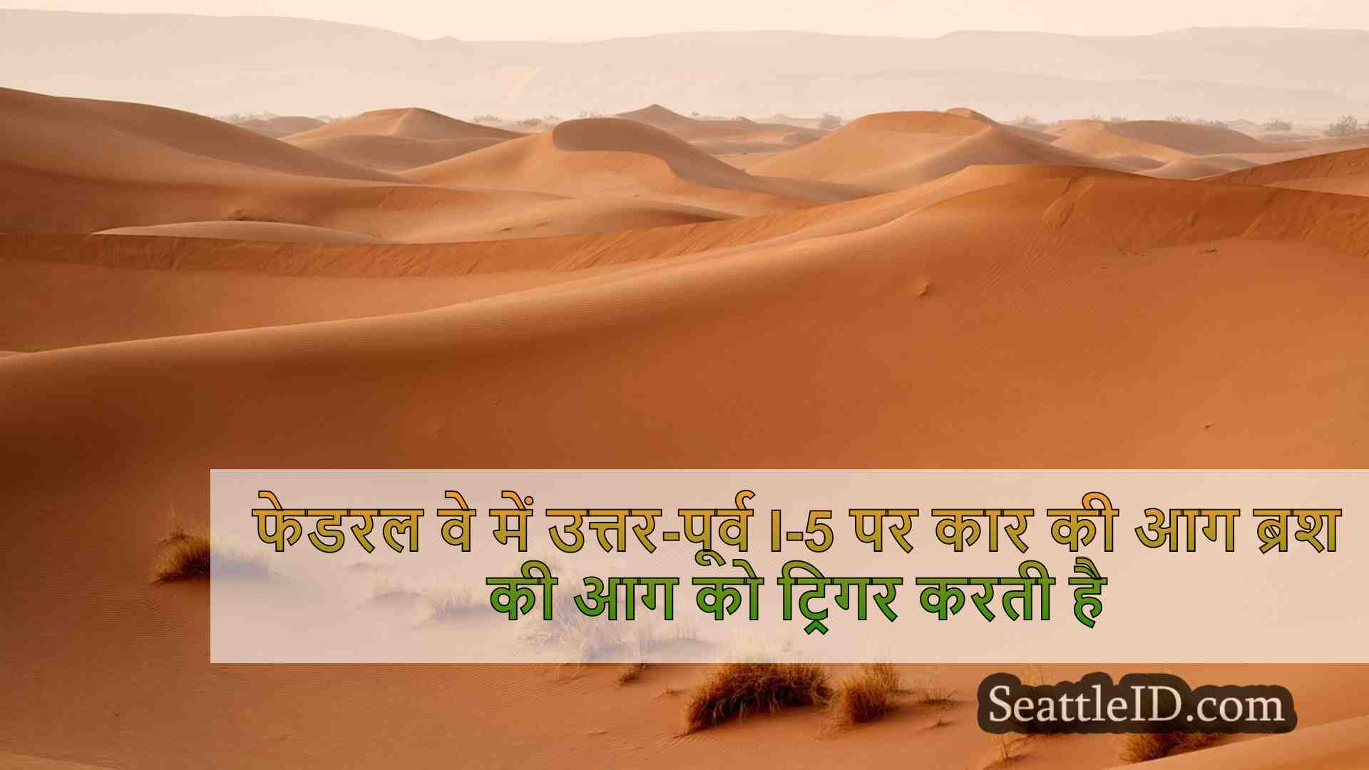 सिएटल समाचार SeattleID