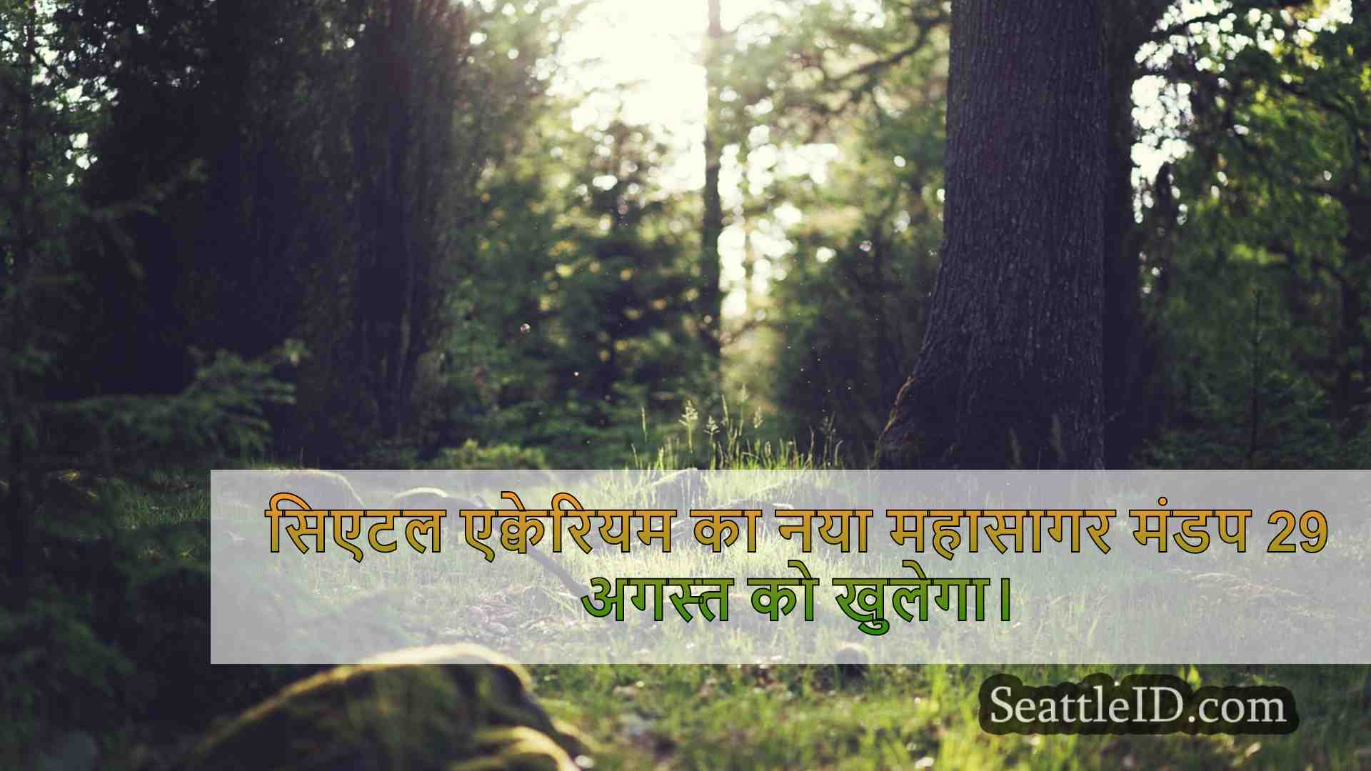 सिएटल समाचार SeattleID