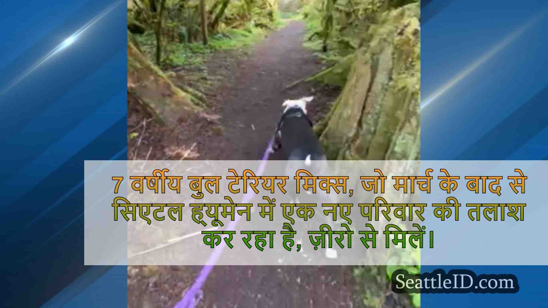 सिएटल समाचार SeattleID