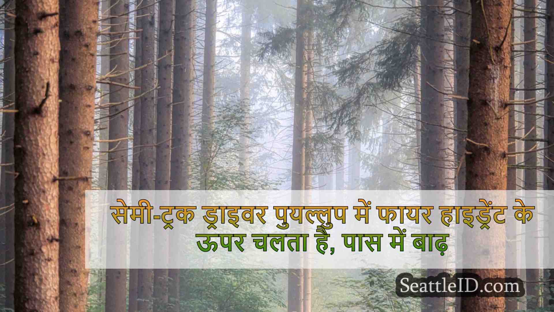 सेमी-ट्रक ड्राइवर पुयल्लुप में फायर