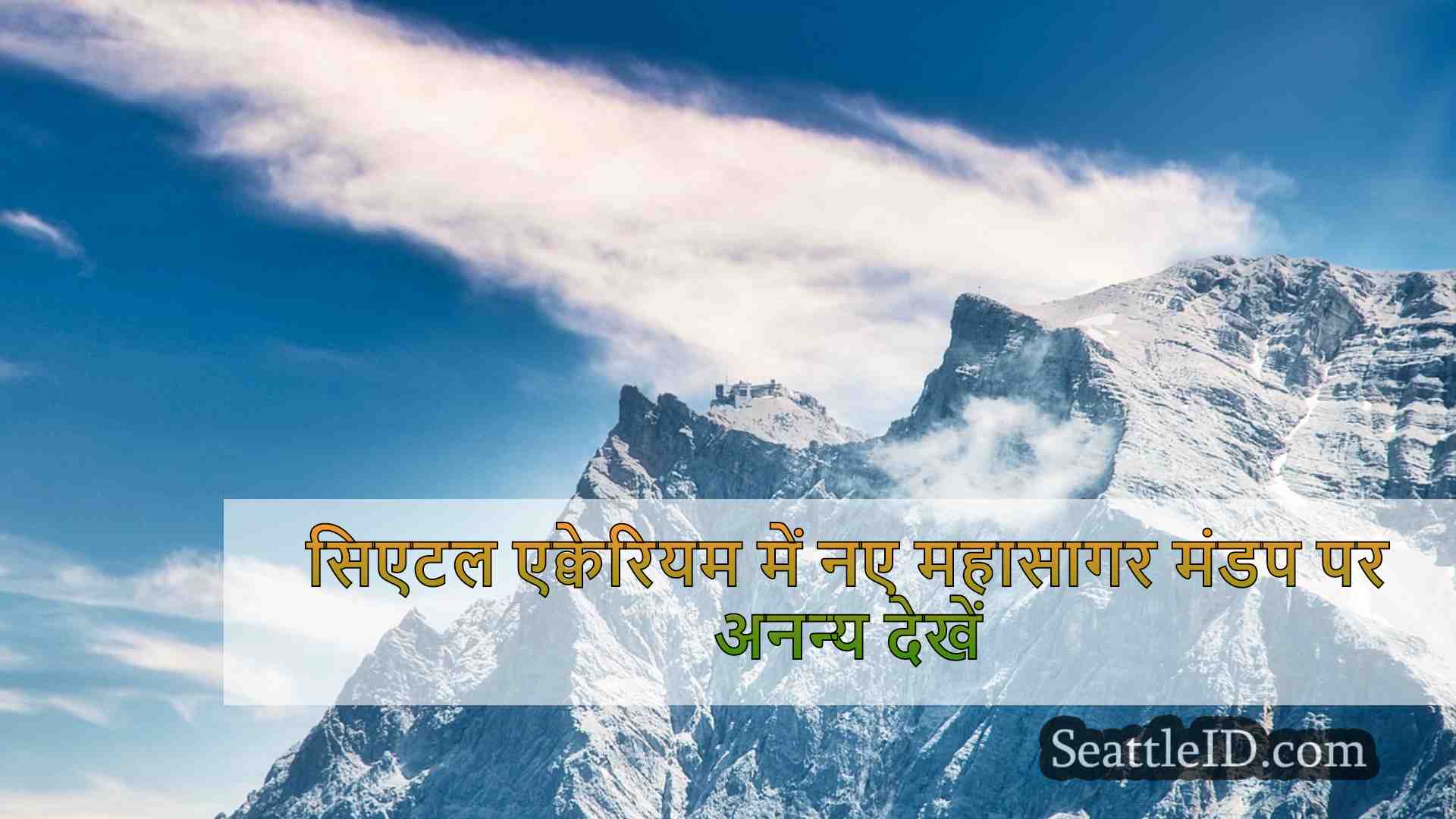 सिएटल समाचार SeattleID