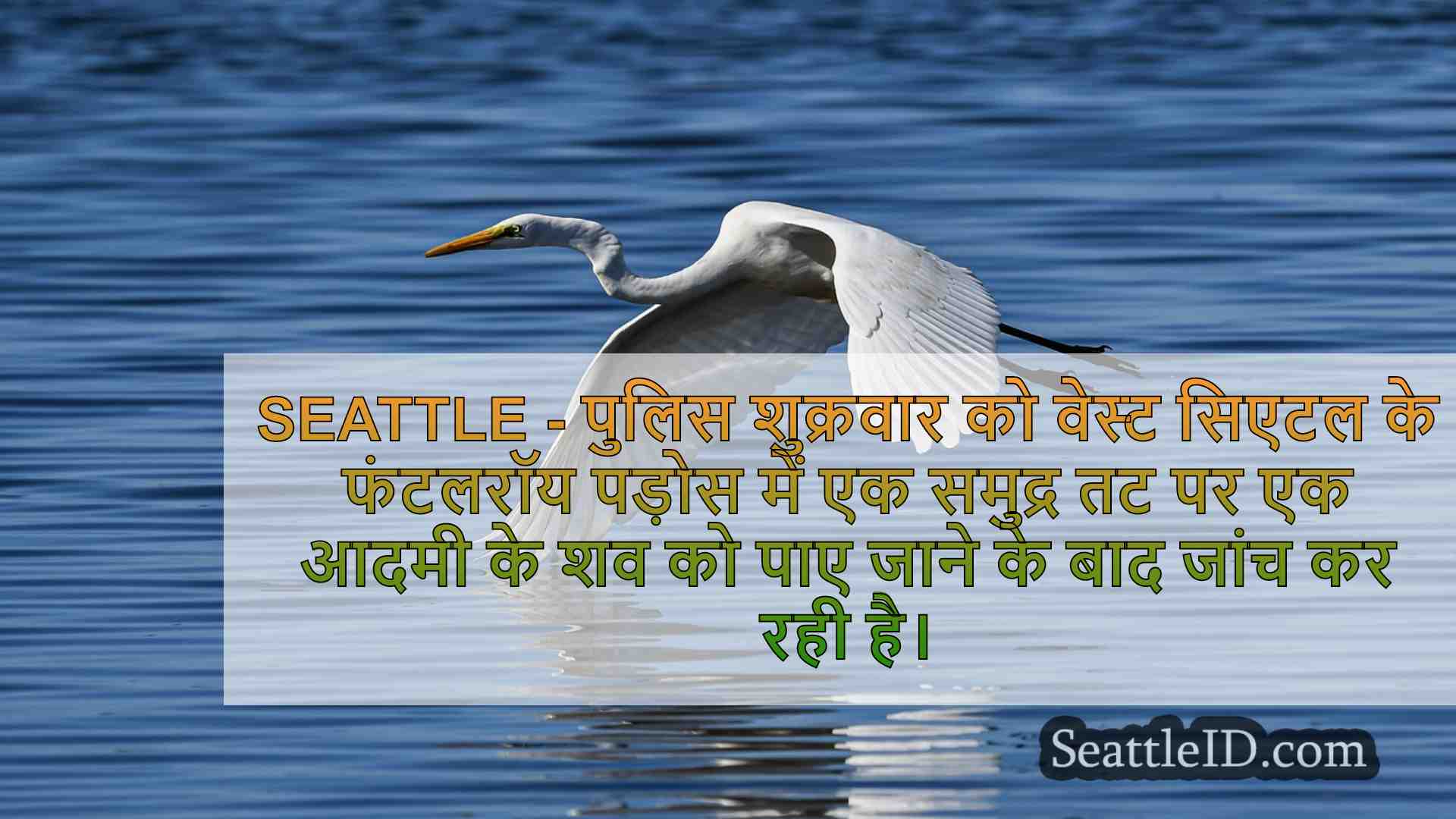 सिएटल समाचार SeattleID