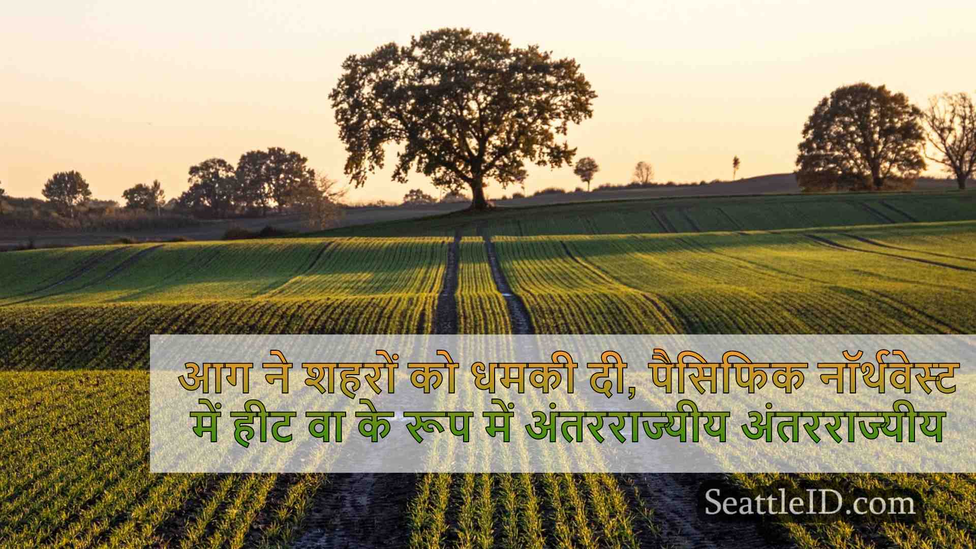 सिएटल समाचार SeattleID