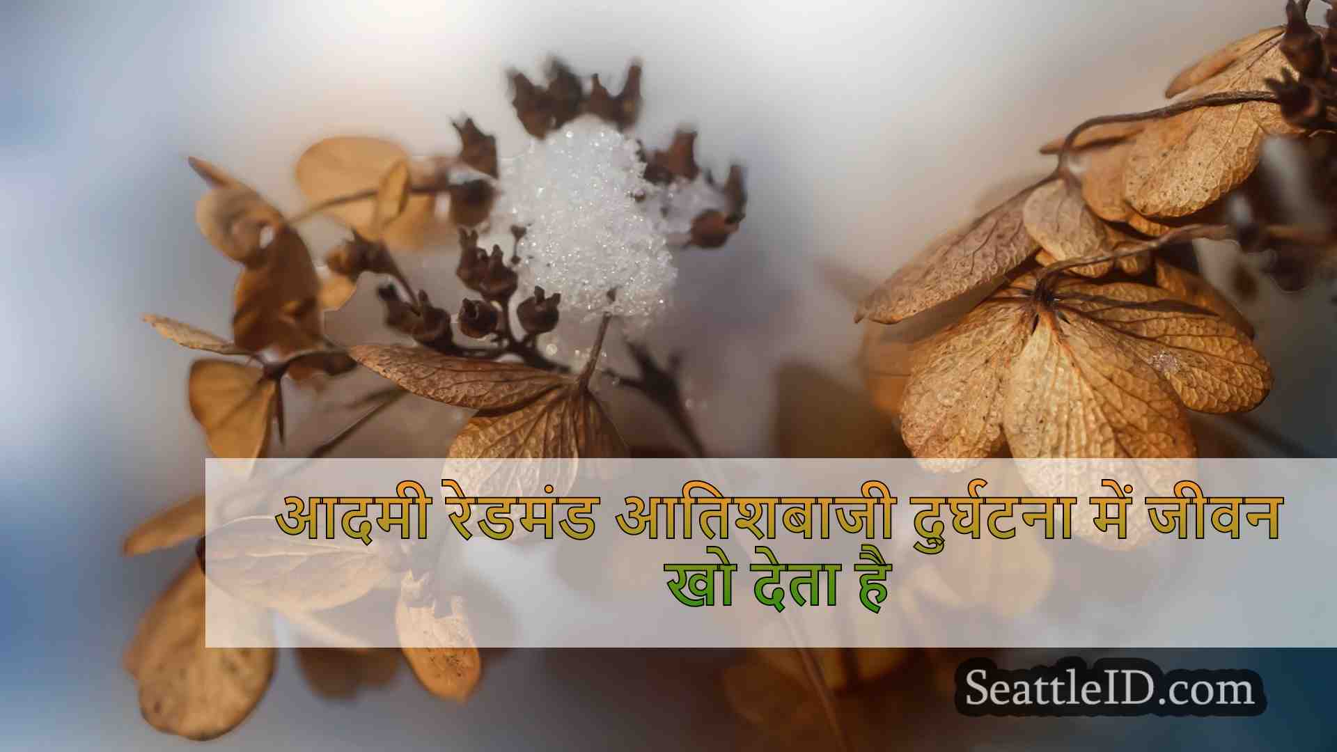 सिएटल समाचार SeattleID
