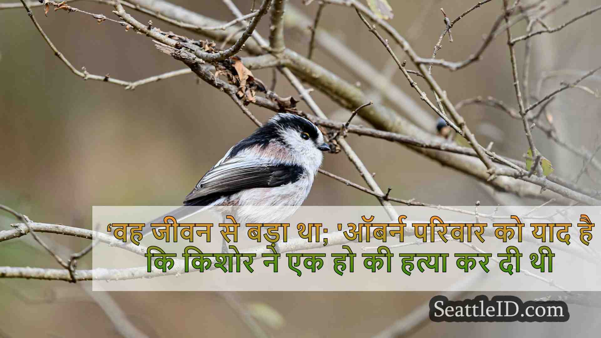 सिएटल समाचार SeattleID