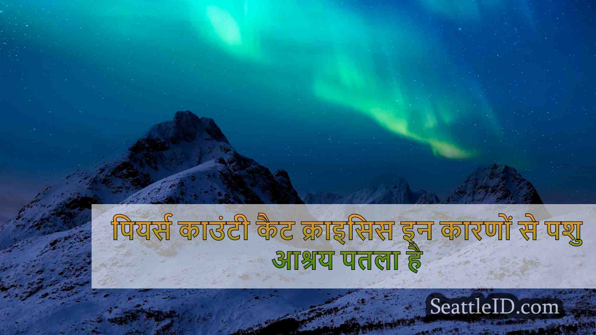 सिएटल समाचार SeattleID