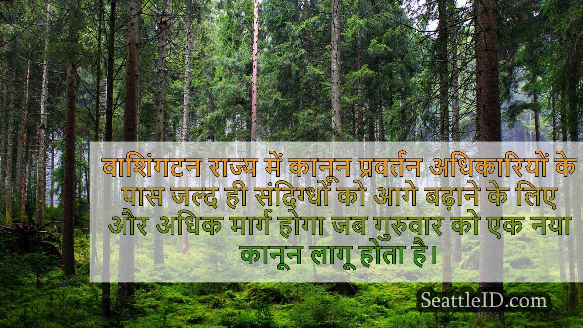 सिएटल समाचार SeattleID