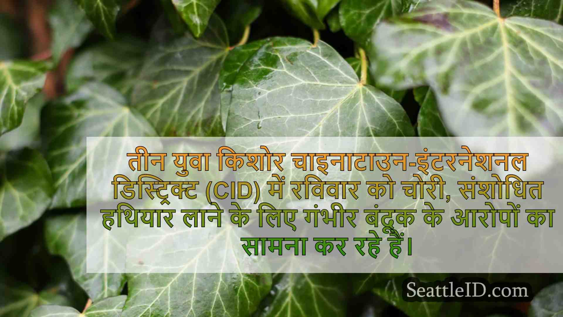 सिएटल समाचार SeattleID