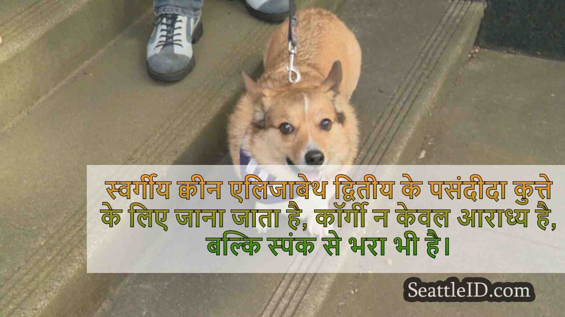 सिएटल समाचार SeattleID