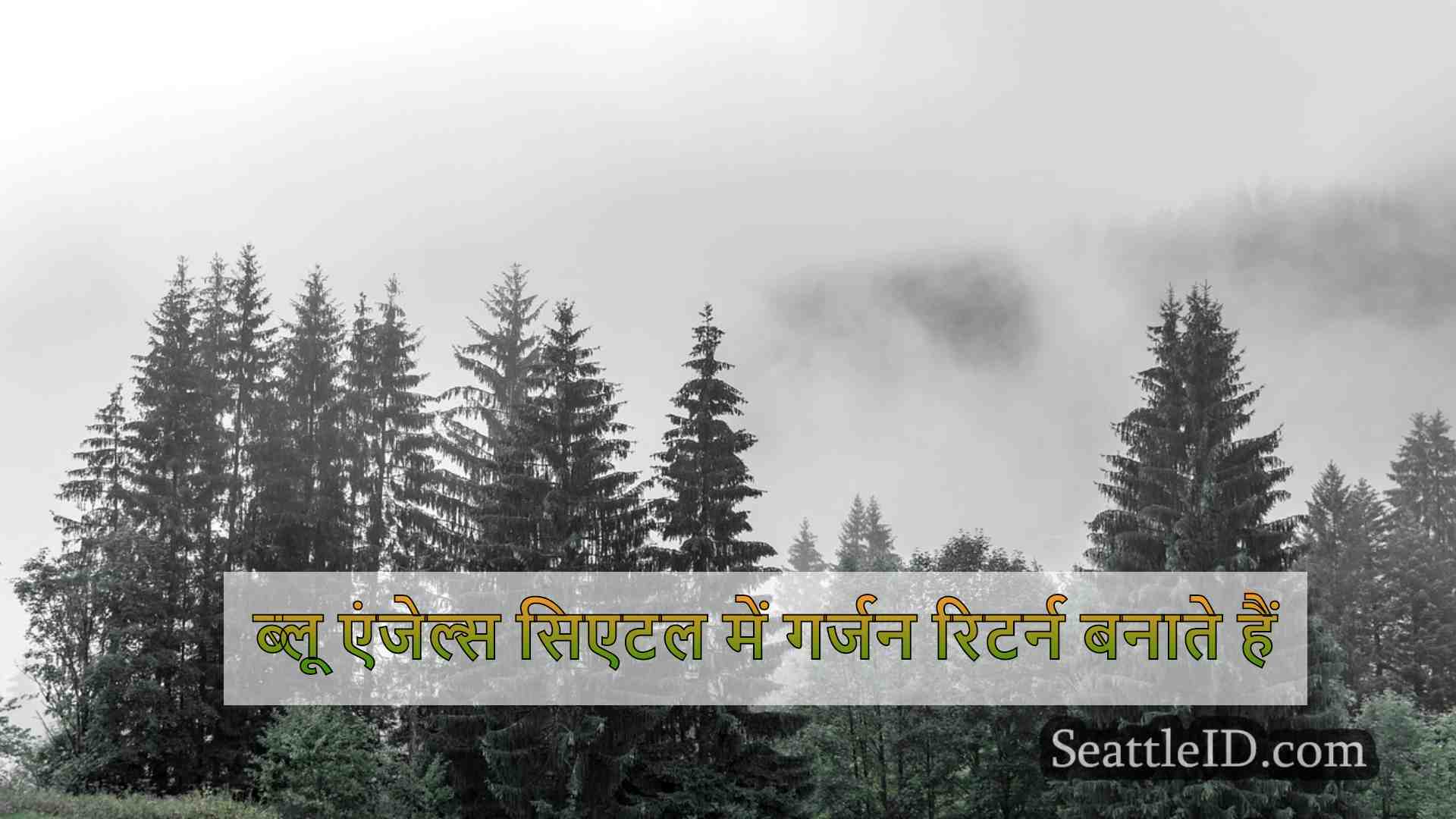 सिएटल समाचार SeattleID