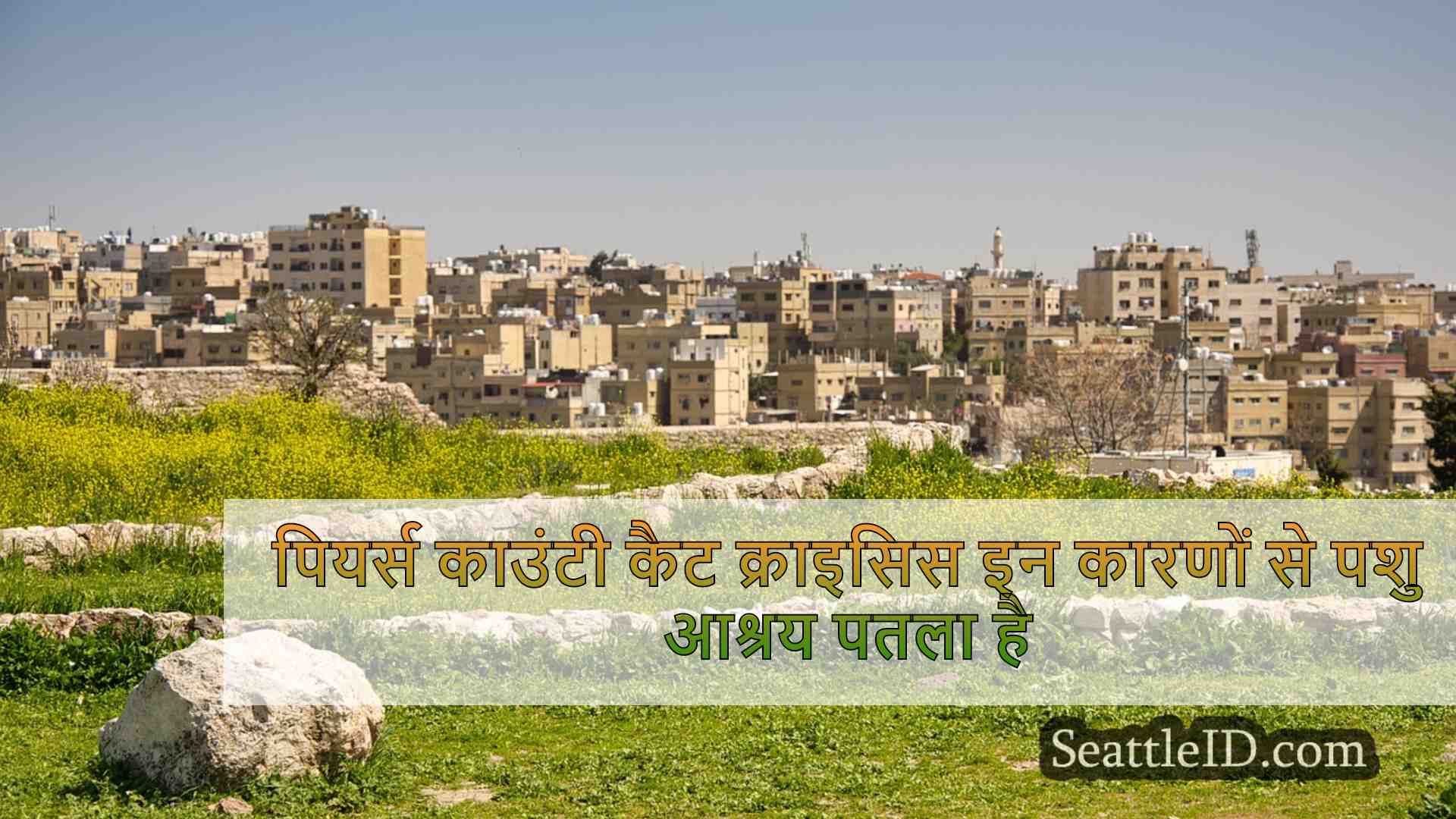 सिएटल समाचार SeattleID