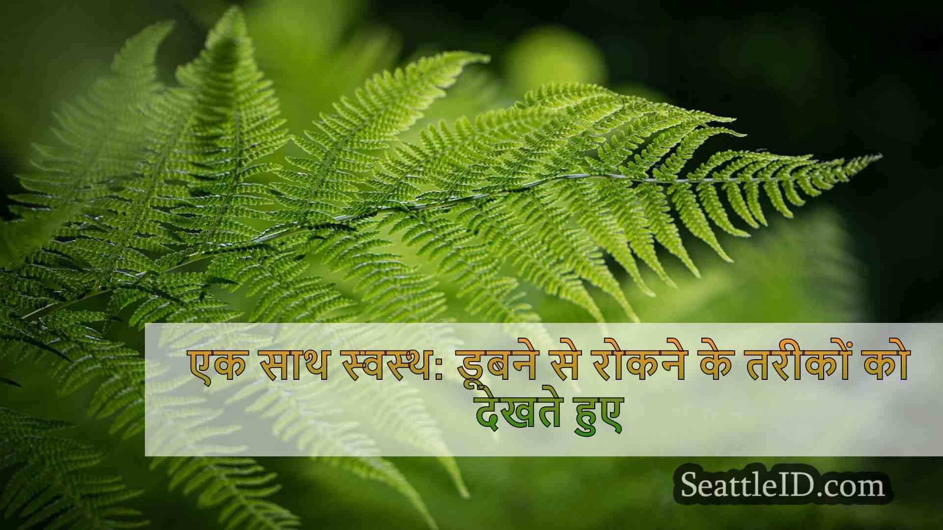 सिएटल समाचार SeattleID