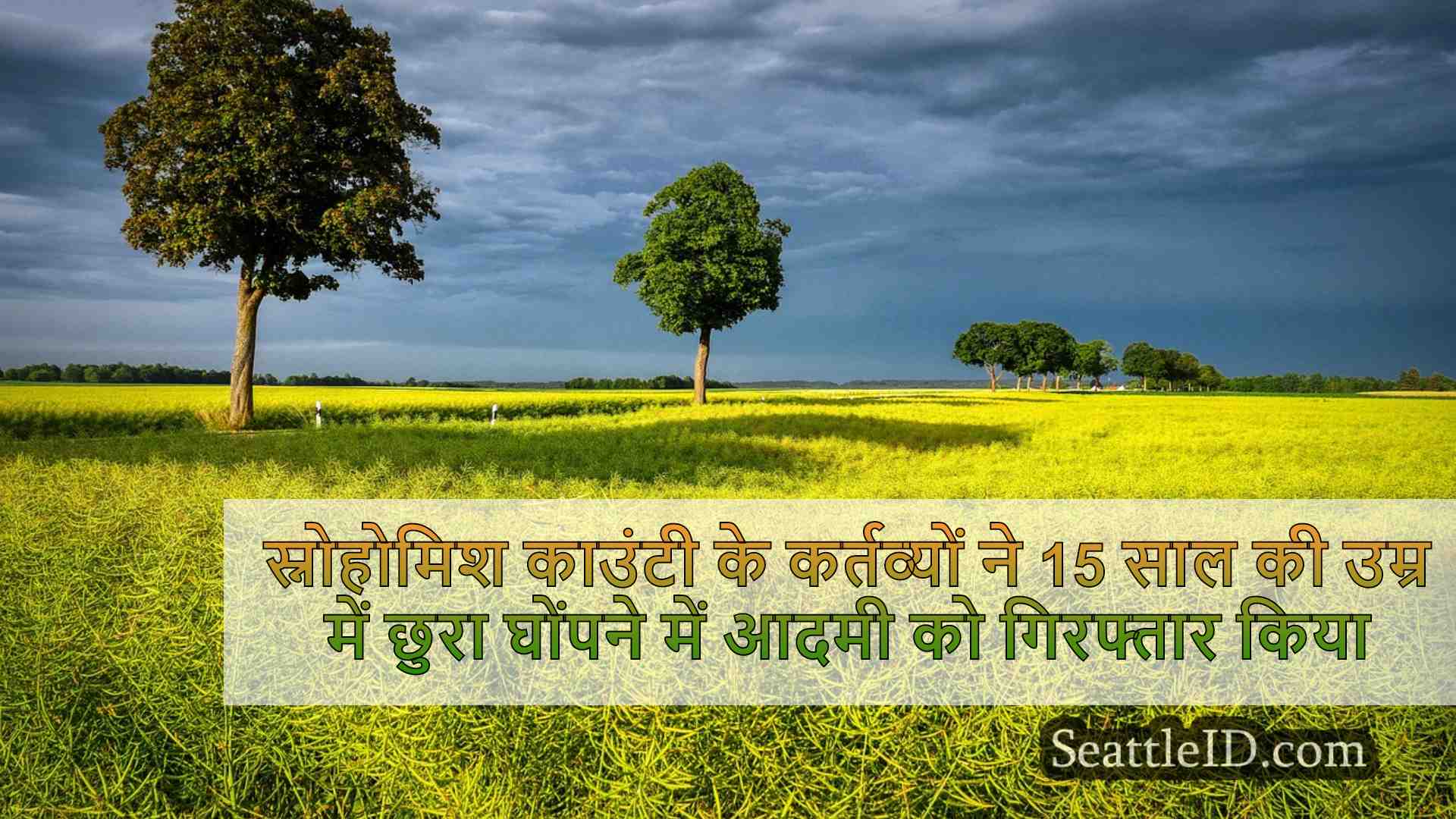 सिएटल समाचार SeattleID