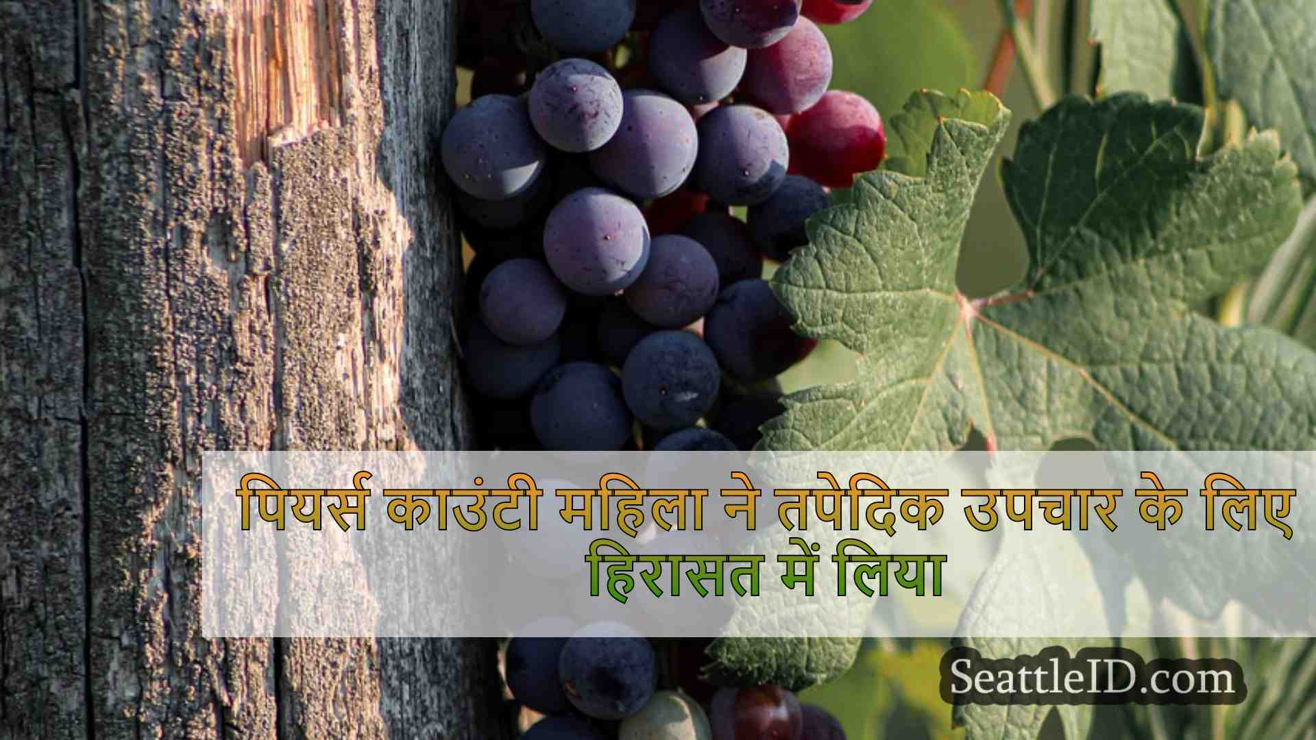 सिएटल समाचार SeattleID