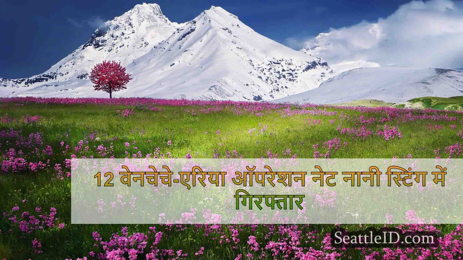 सिएटल समाचार SeattleID