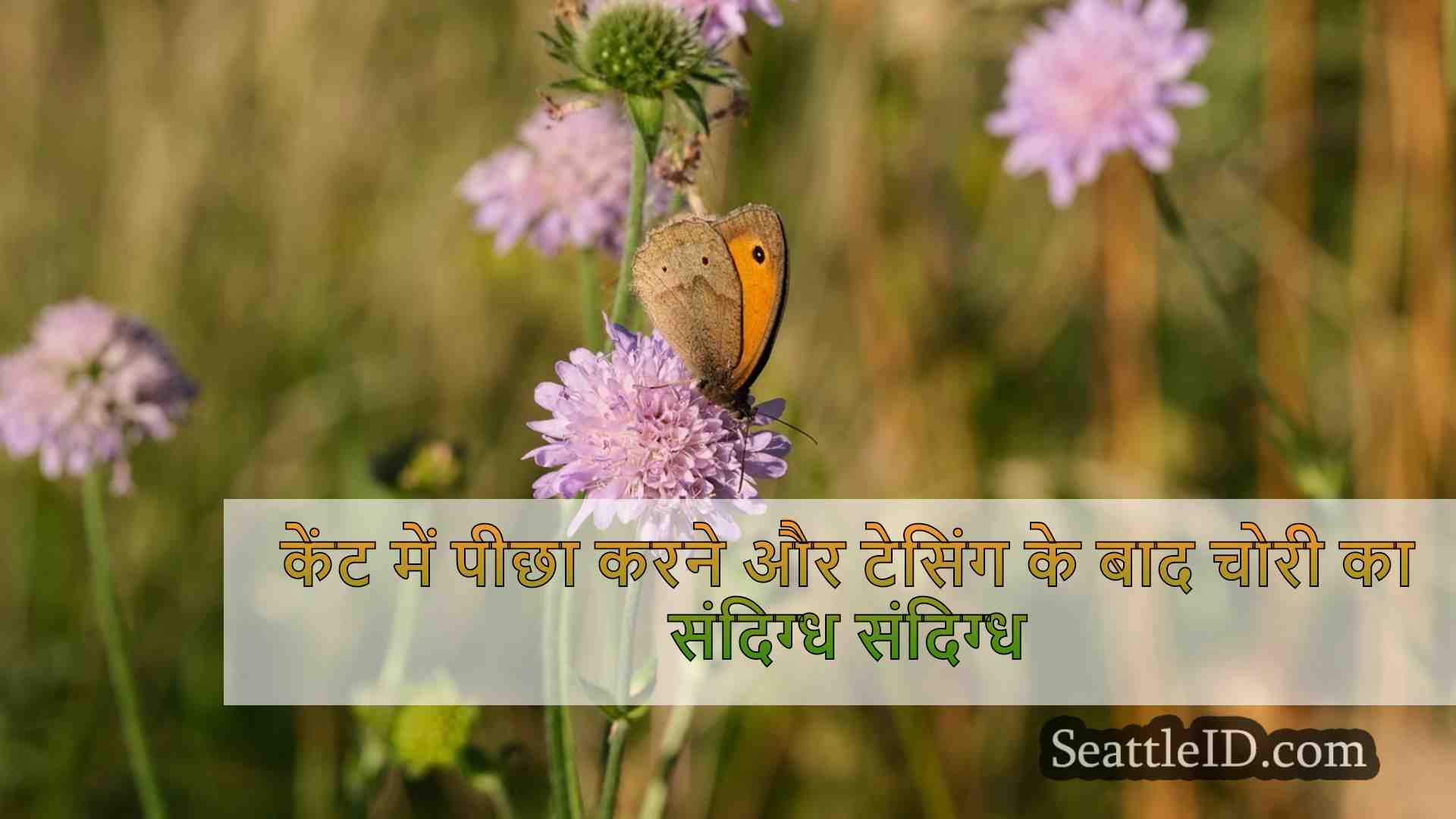 सिएटल समाचार SeattleID
