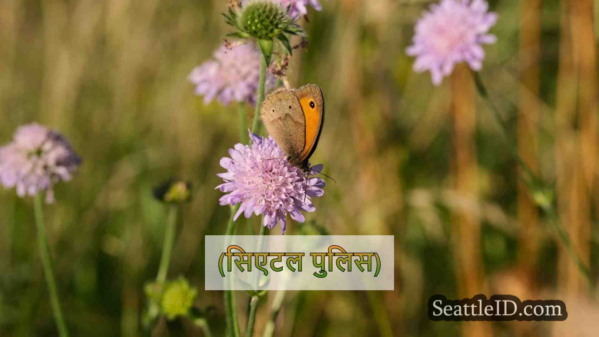 सिएटल में गिरफ्तार संघीय भगोड़ा, कार