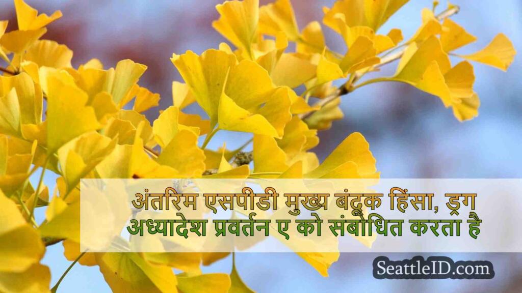 अंतरिम एसपीडी मुख्य ने गन हिंसा, ड्रग