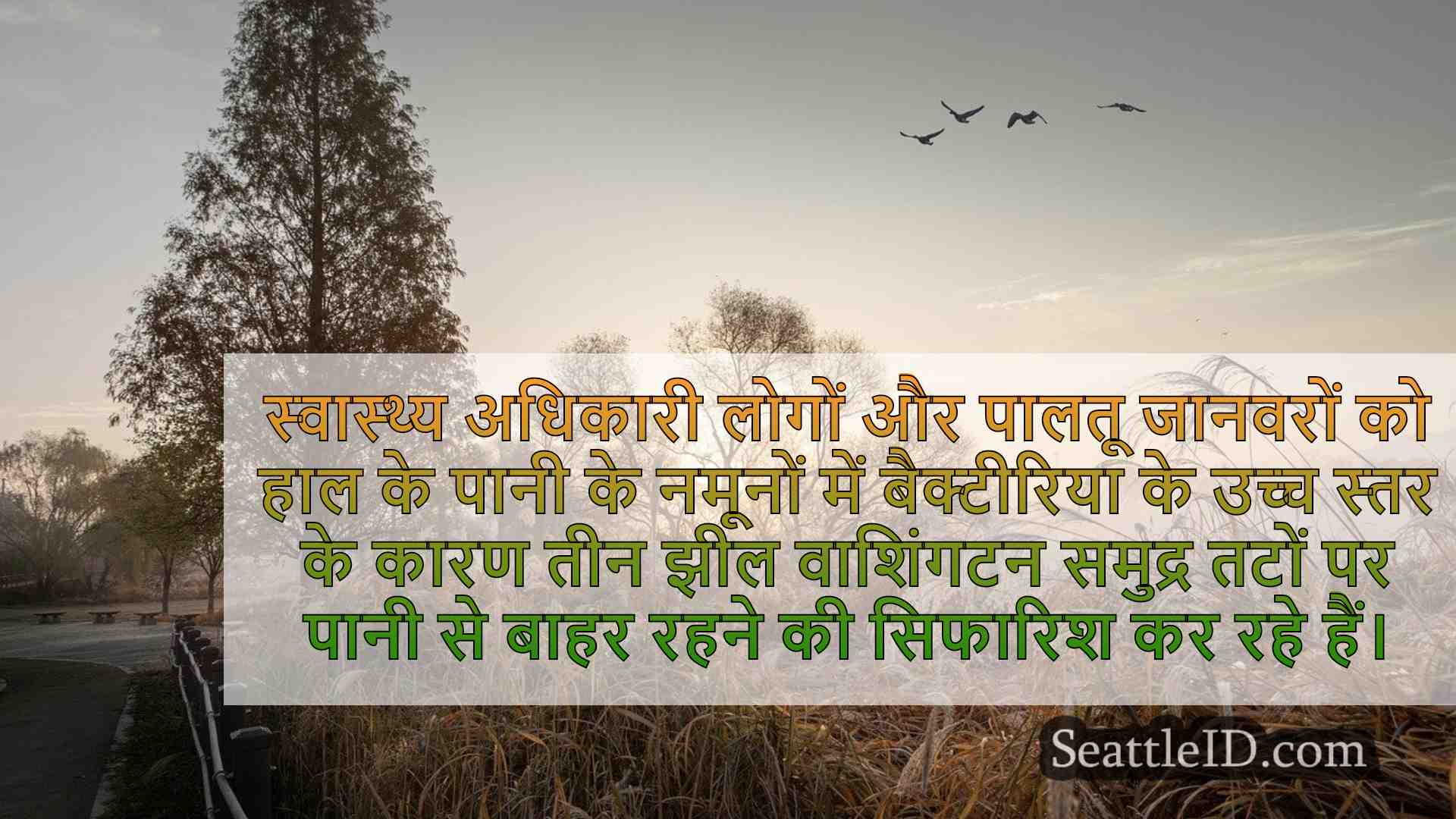 सिएटल समाचार SeattleID