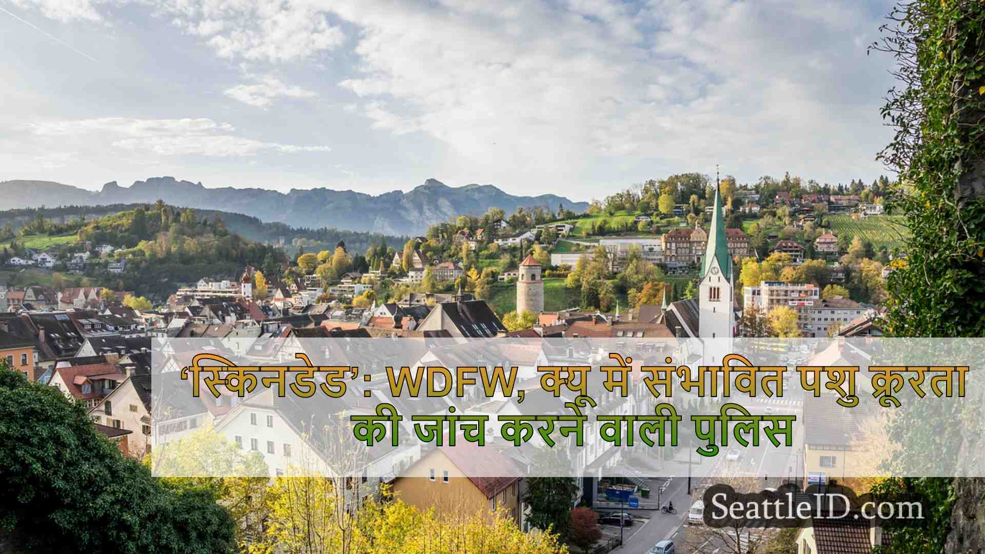 सिएटल समाचार SeattleID