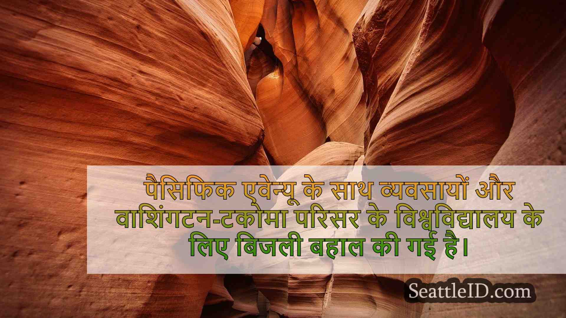 सिएटल समाचार SeattleID