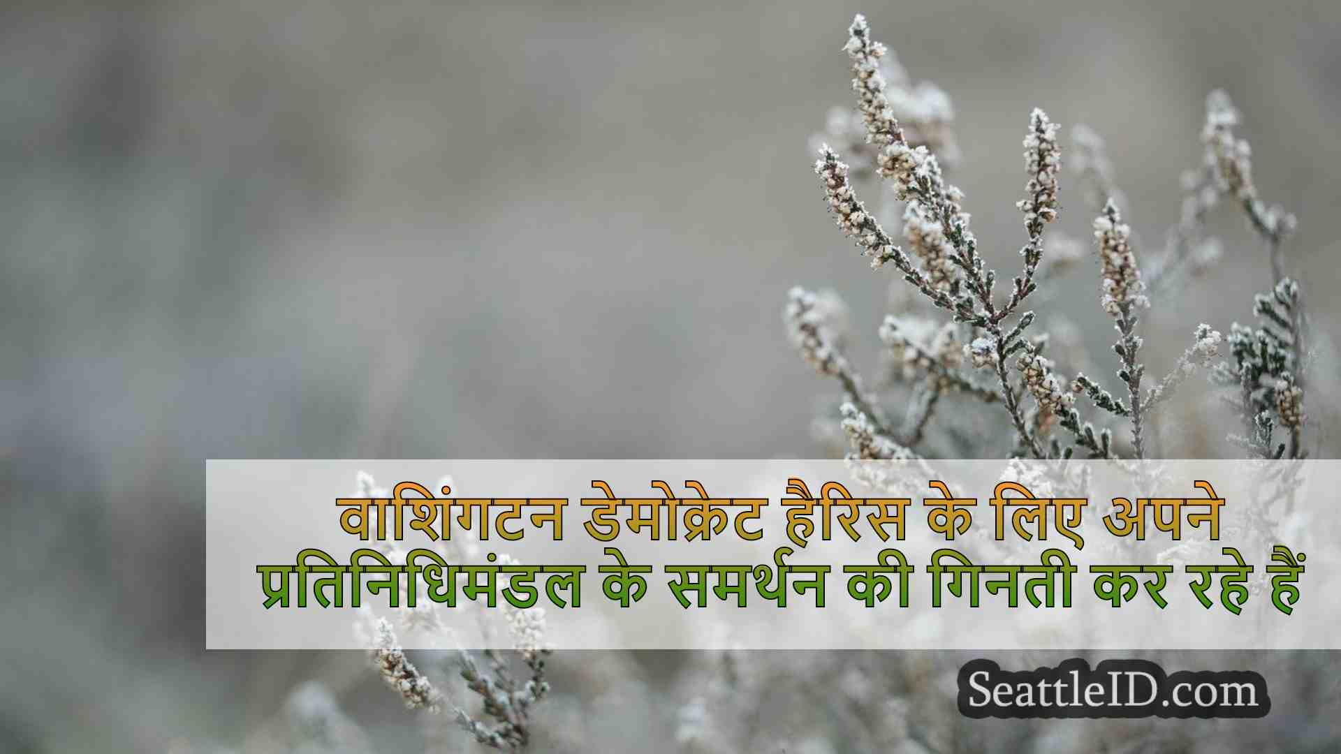 सिएटल समाचार SeattleID