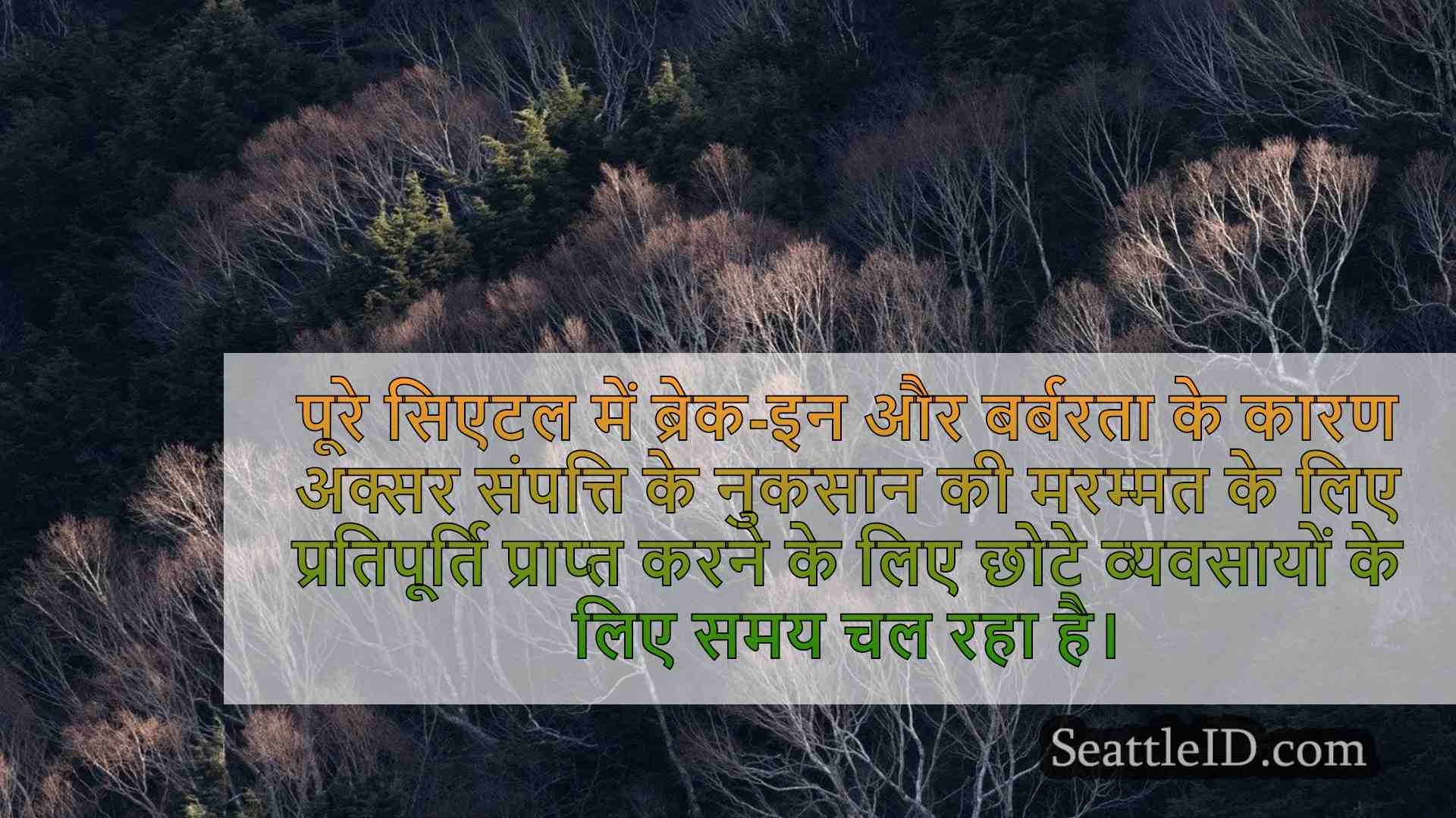 सिएटल समाचार SeattleID