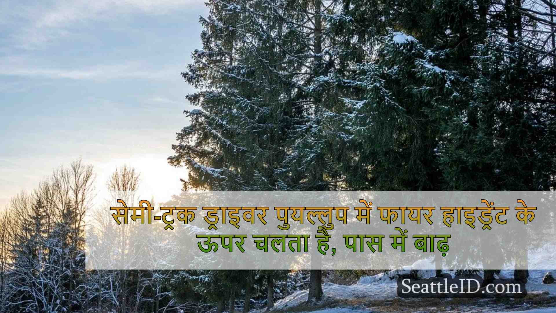 सिएटल समाचार SeattleID