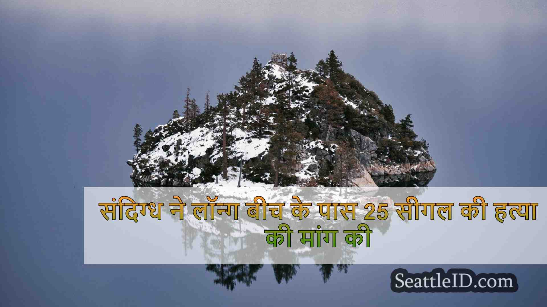 सिएटल समाचार SeattleID