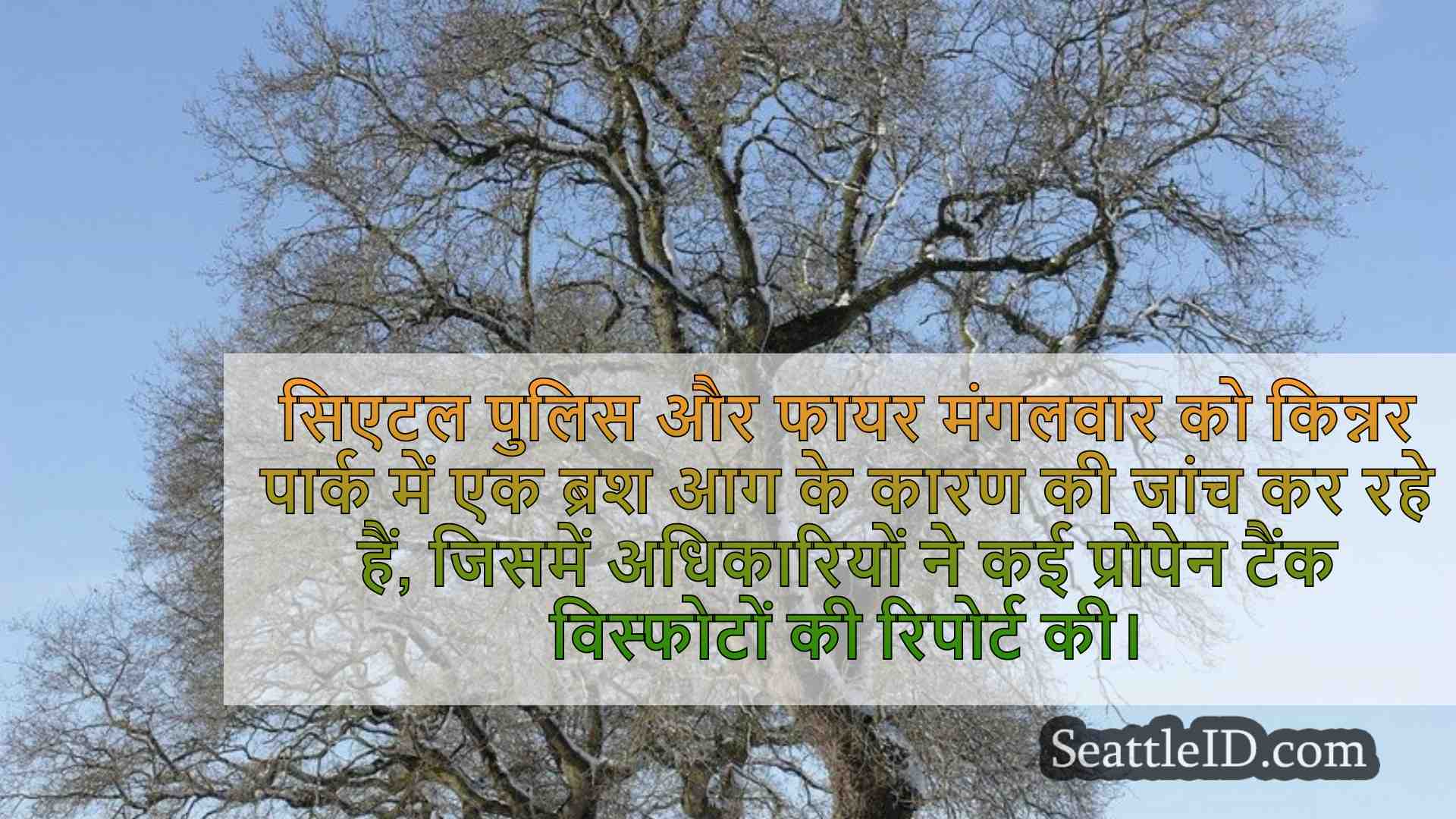 सिएटल में रानी ऐनी हिलसाइड आग के कारण