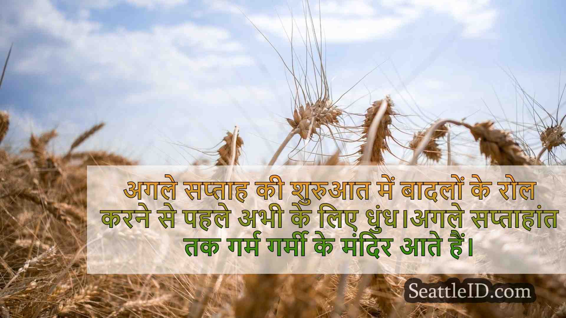 सिएटल समाचार SeattleID