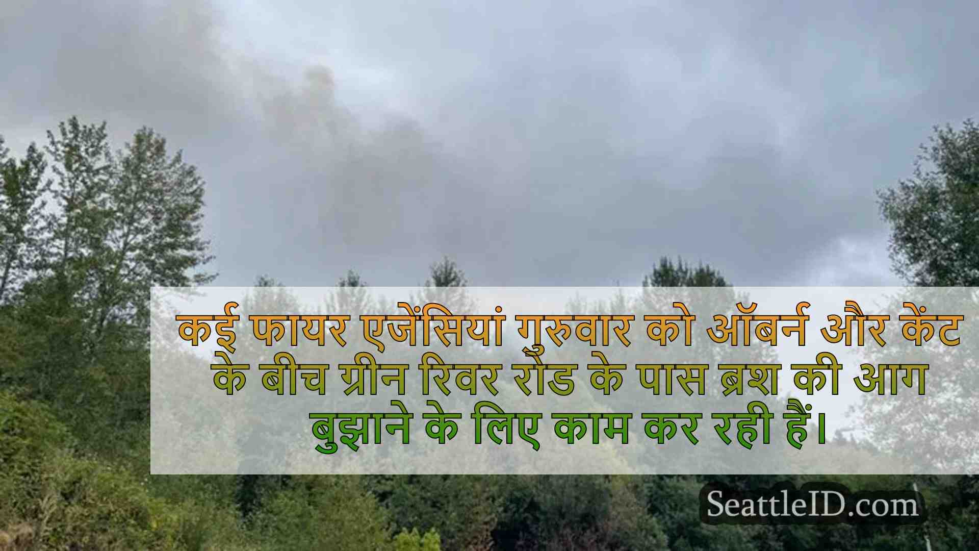 ग्रीन रिवर रोड के पास कई फायर एजेंसियां