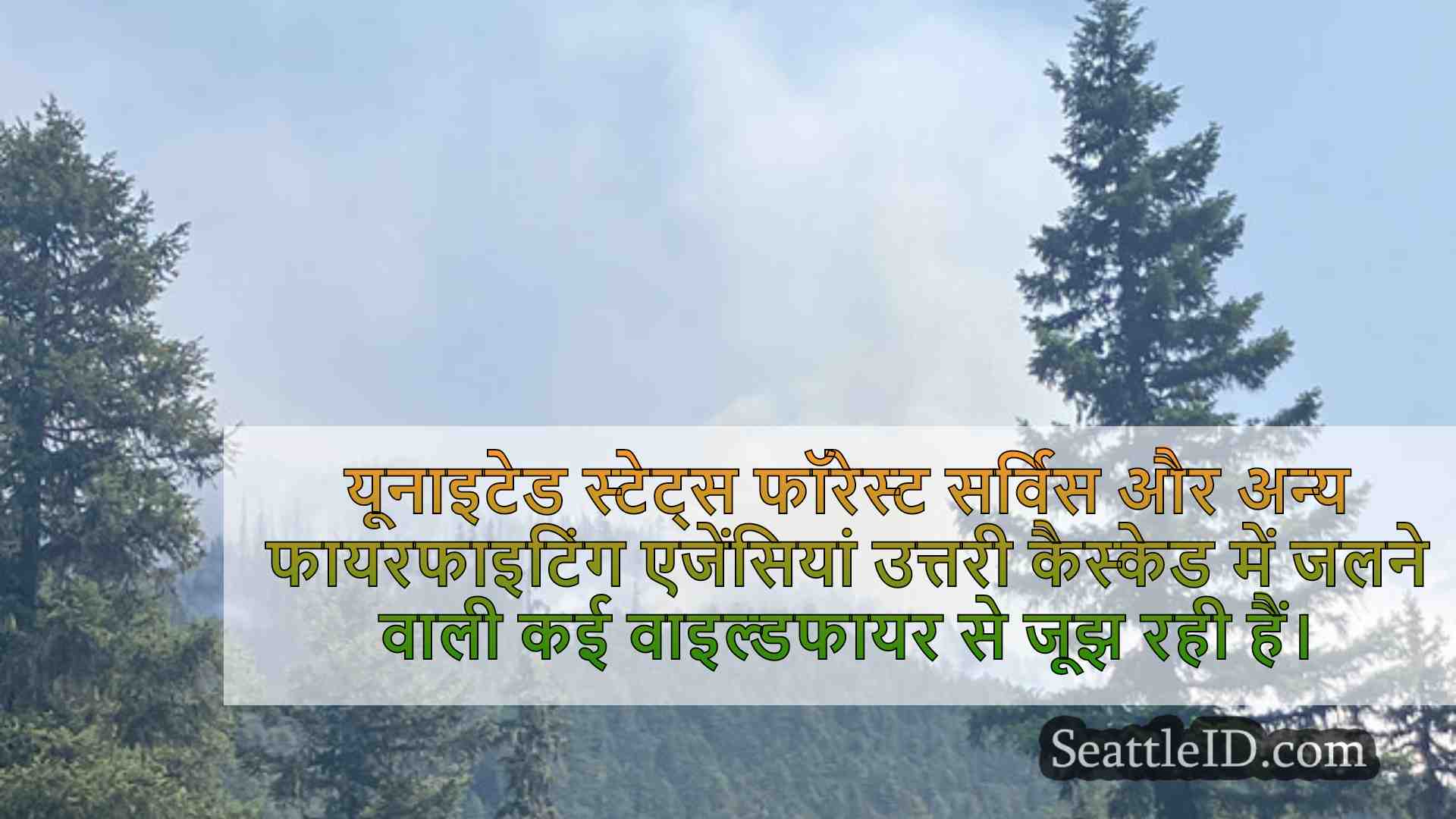 सिएटल समाचार SeattleID