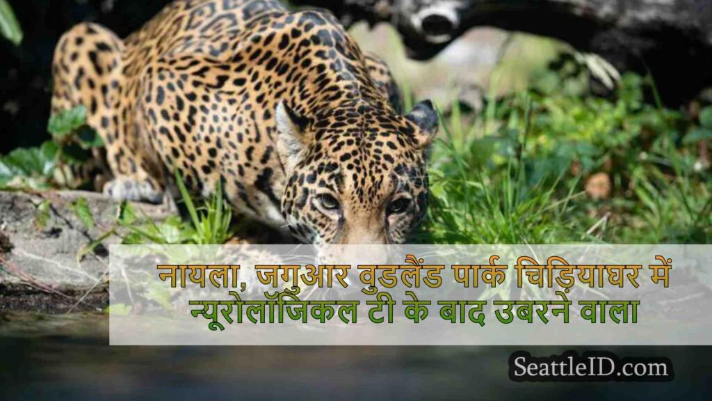 नायला, वुडलैंड पार्क चिड़ियाघर में