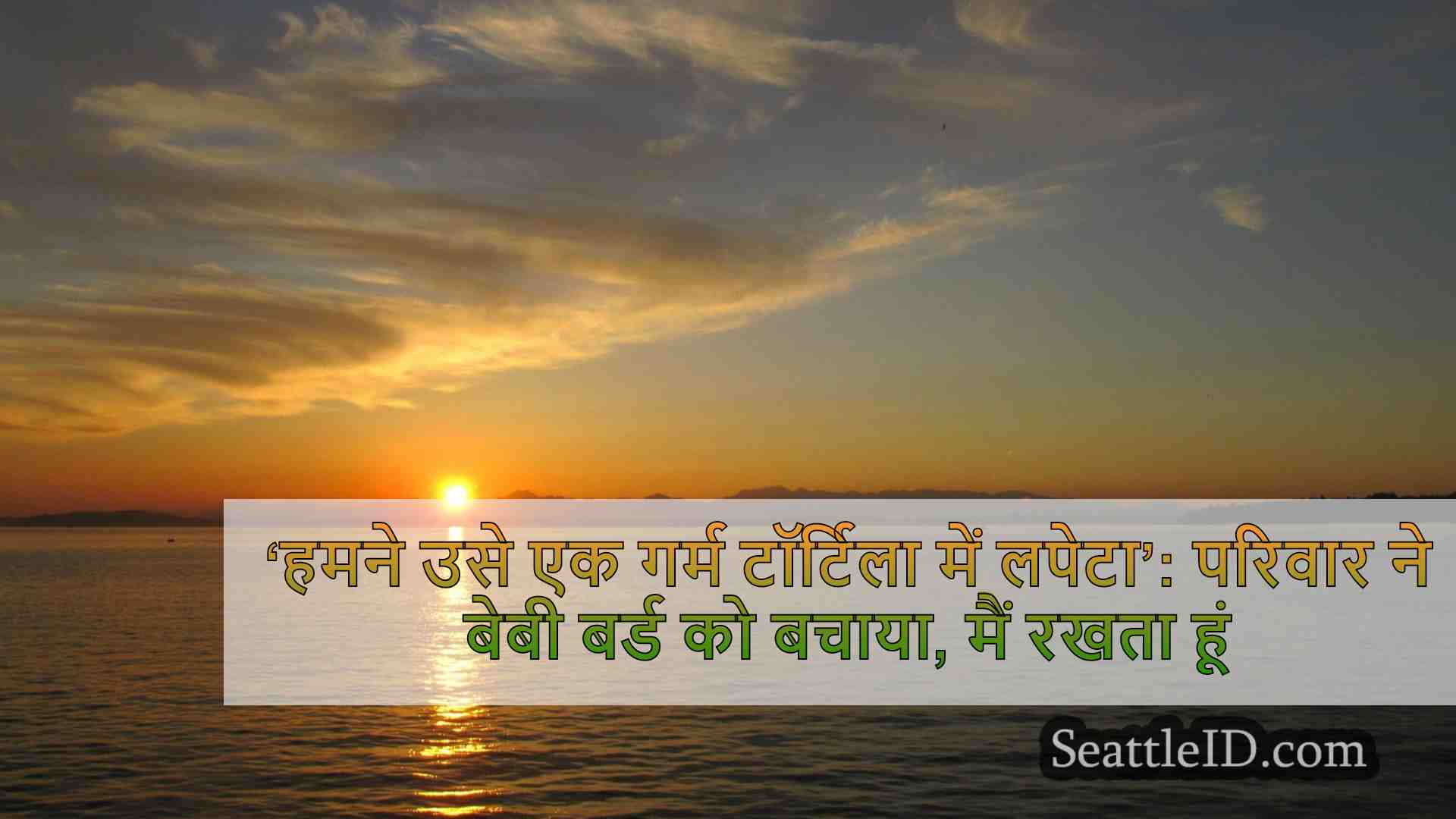 सिएटल समाचार SeattleID