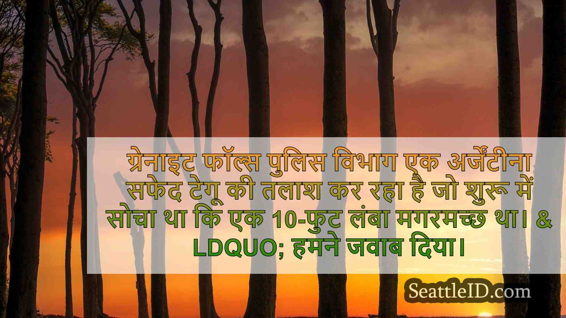 सिएटल समाचार SeattleID