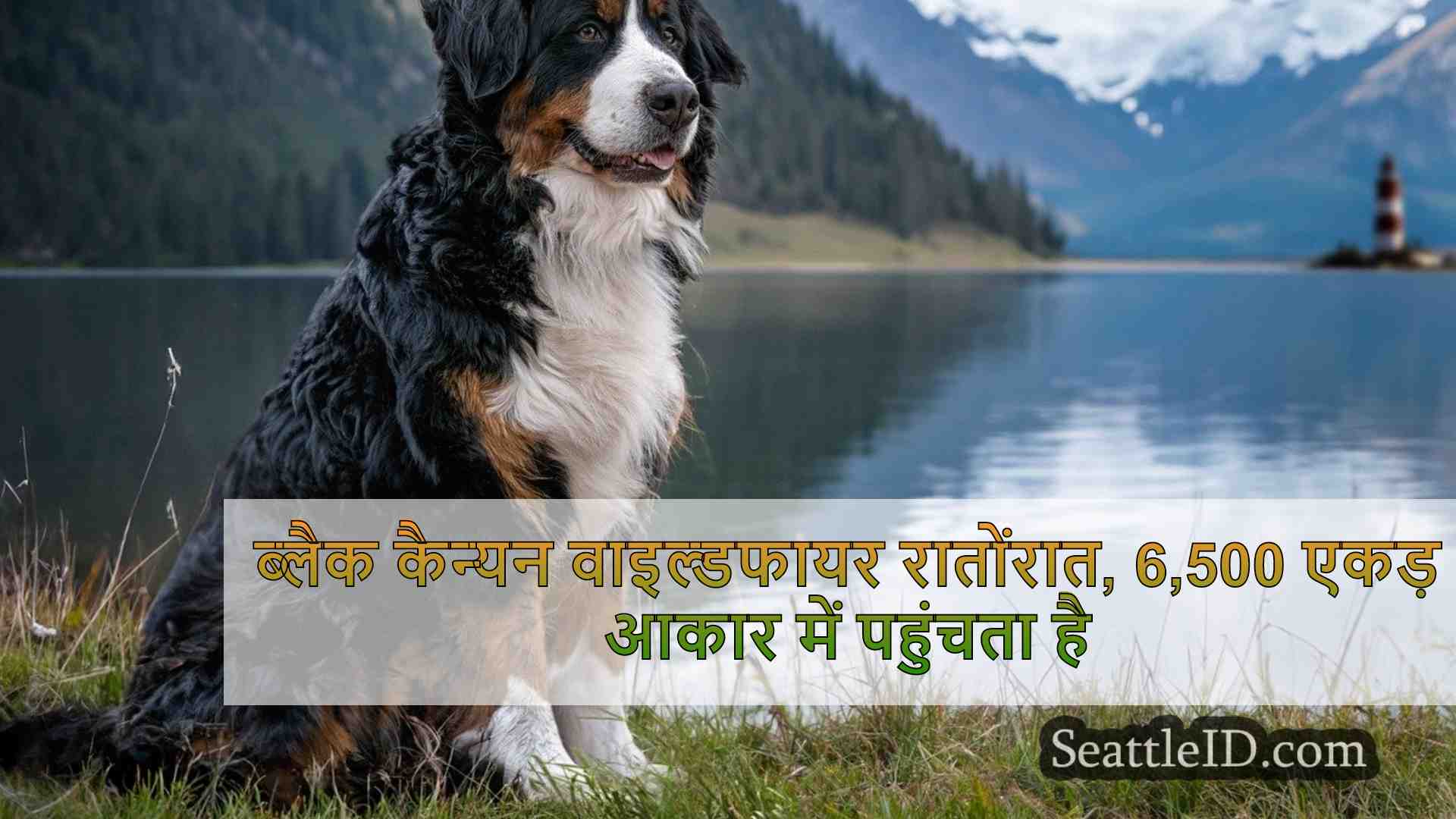 सिएटल समाचार SeattleID
