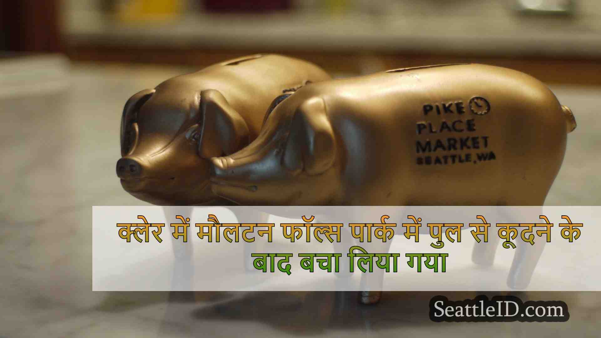 सिएटल समाचार SeattleID