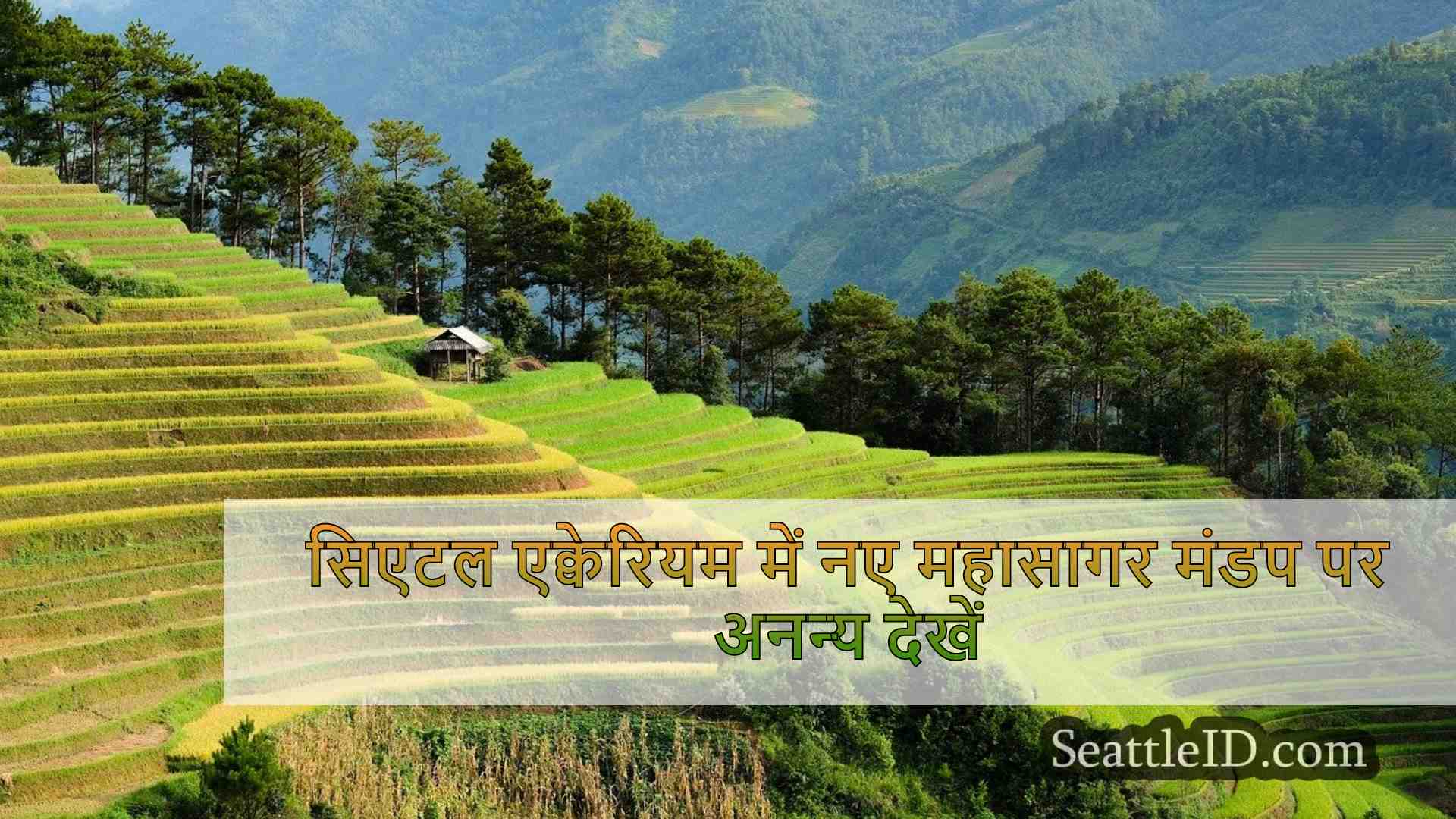इसके उद्घाटन से पहले सिएटल एक्वेरियम