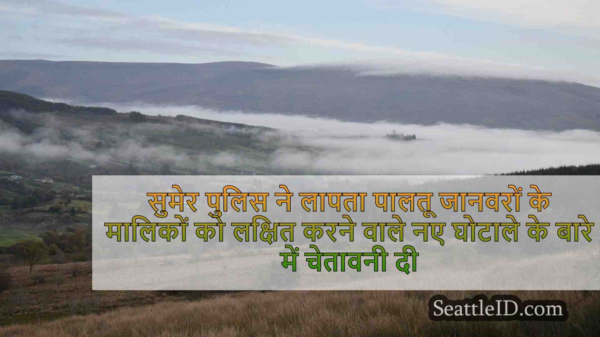 सिएटल समाचार SeattleID