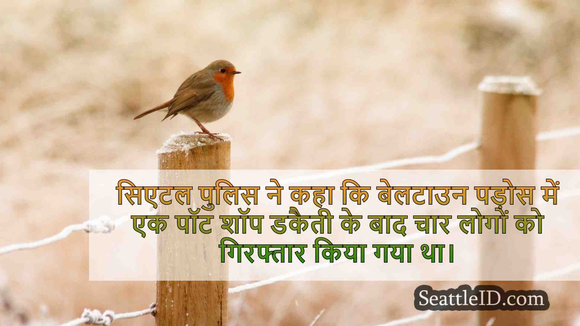 सिएटल समाचार SeattleID