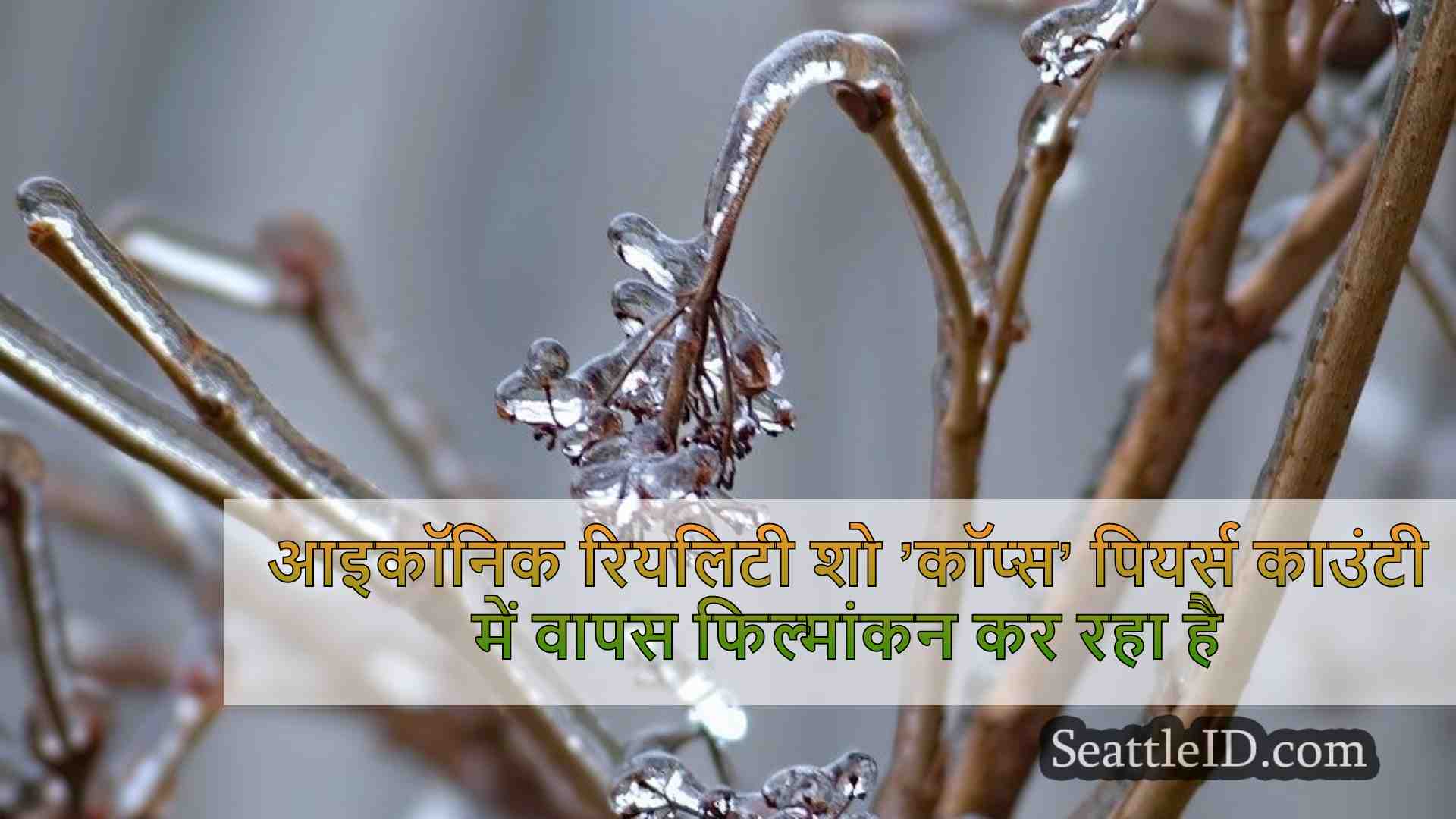 सिएटल समाचार SeattleID